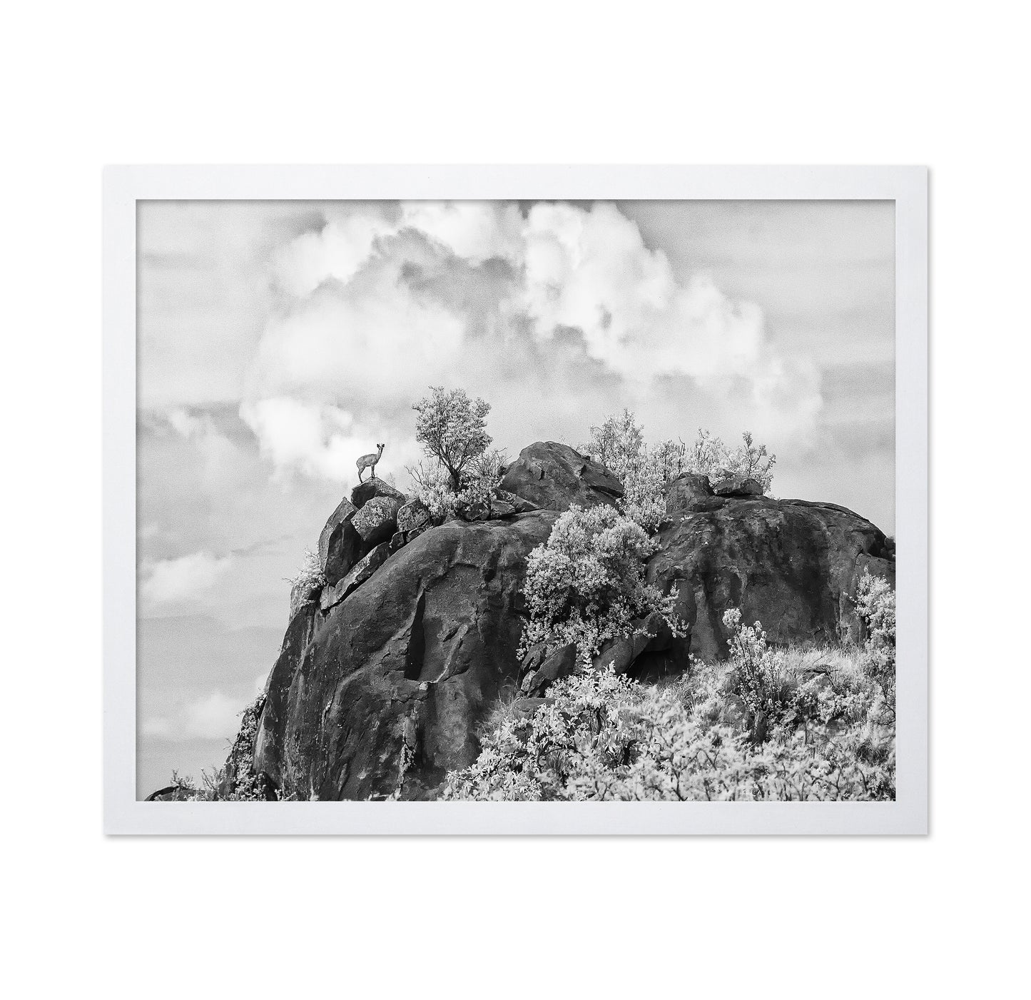 Klipspringer Summit