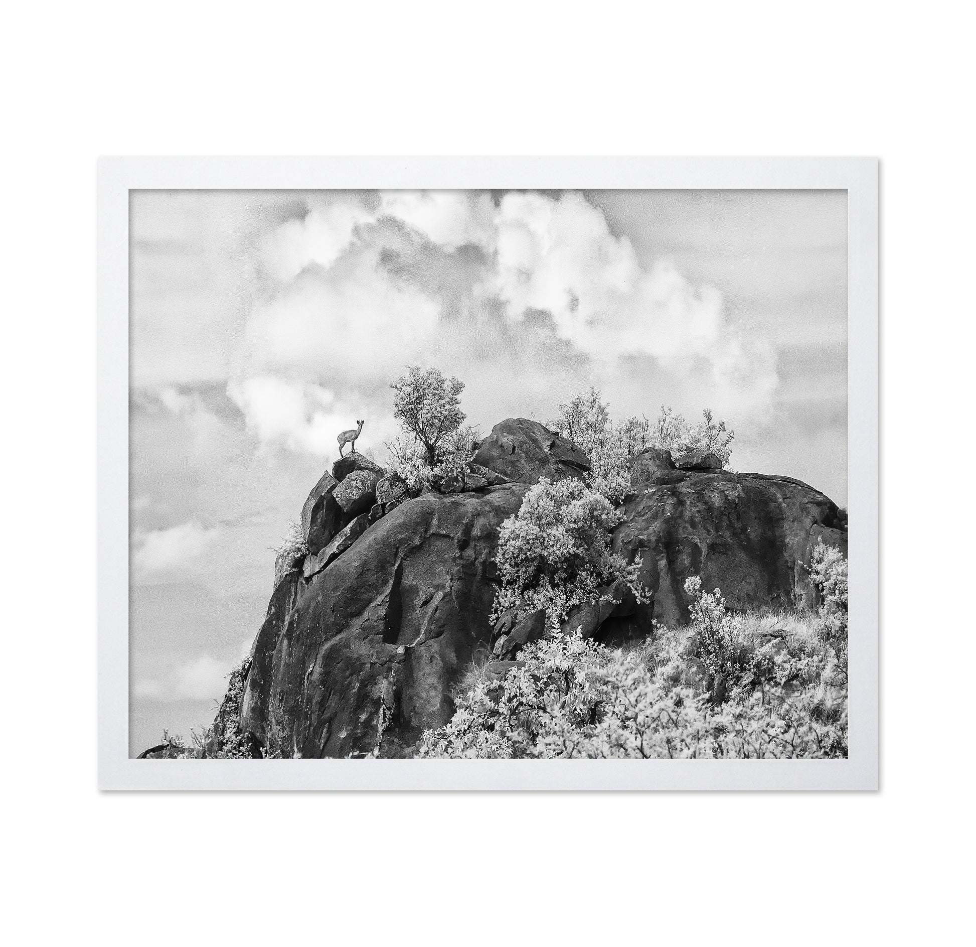 Klipspringer Summit