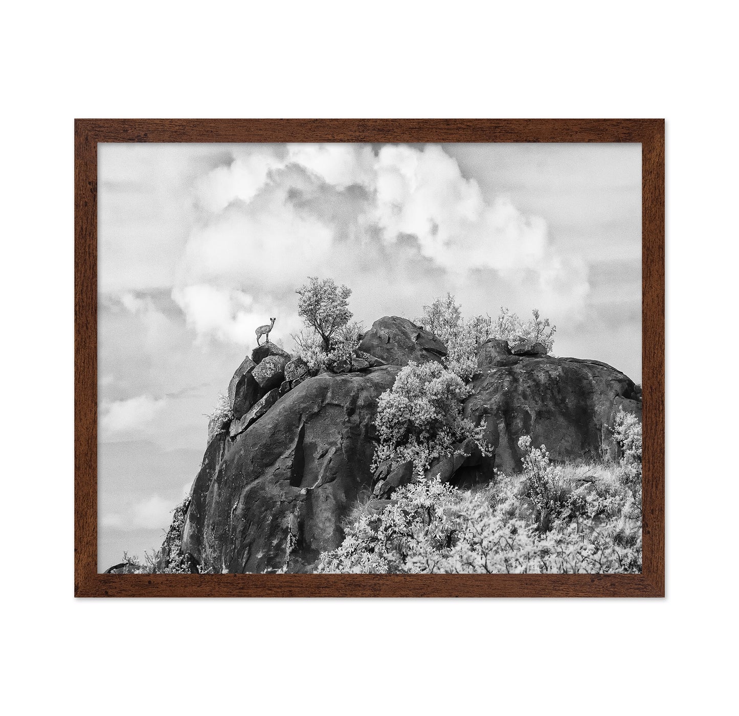 Klipspringer Summit