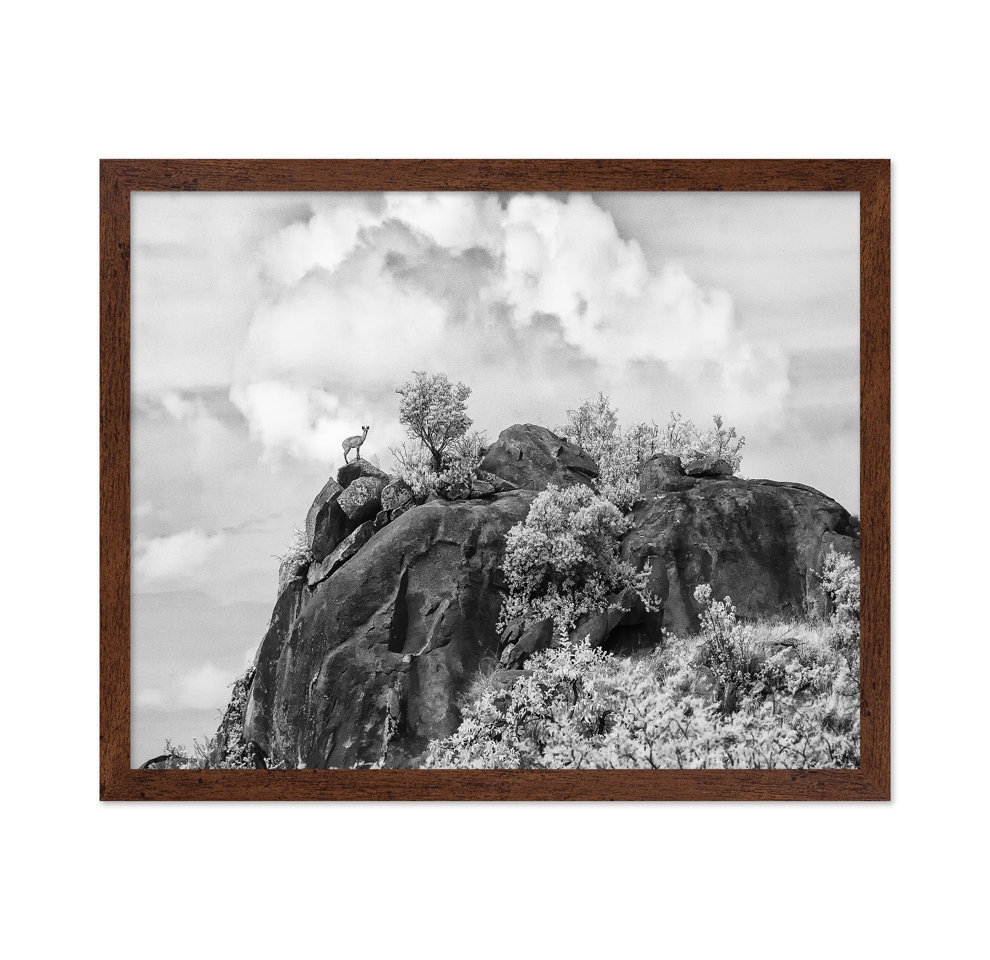 Klipspringer Summit