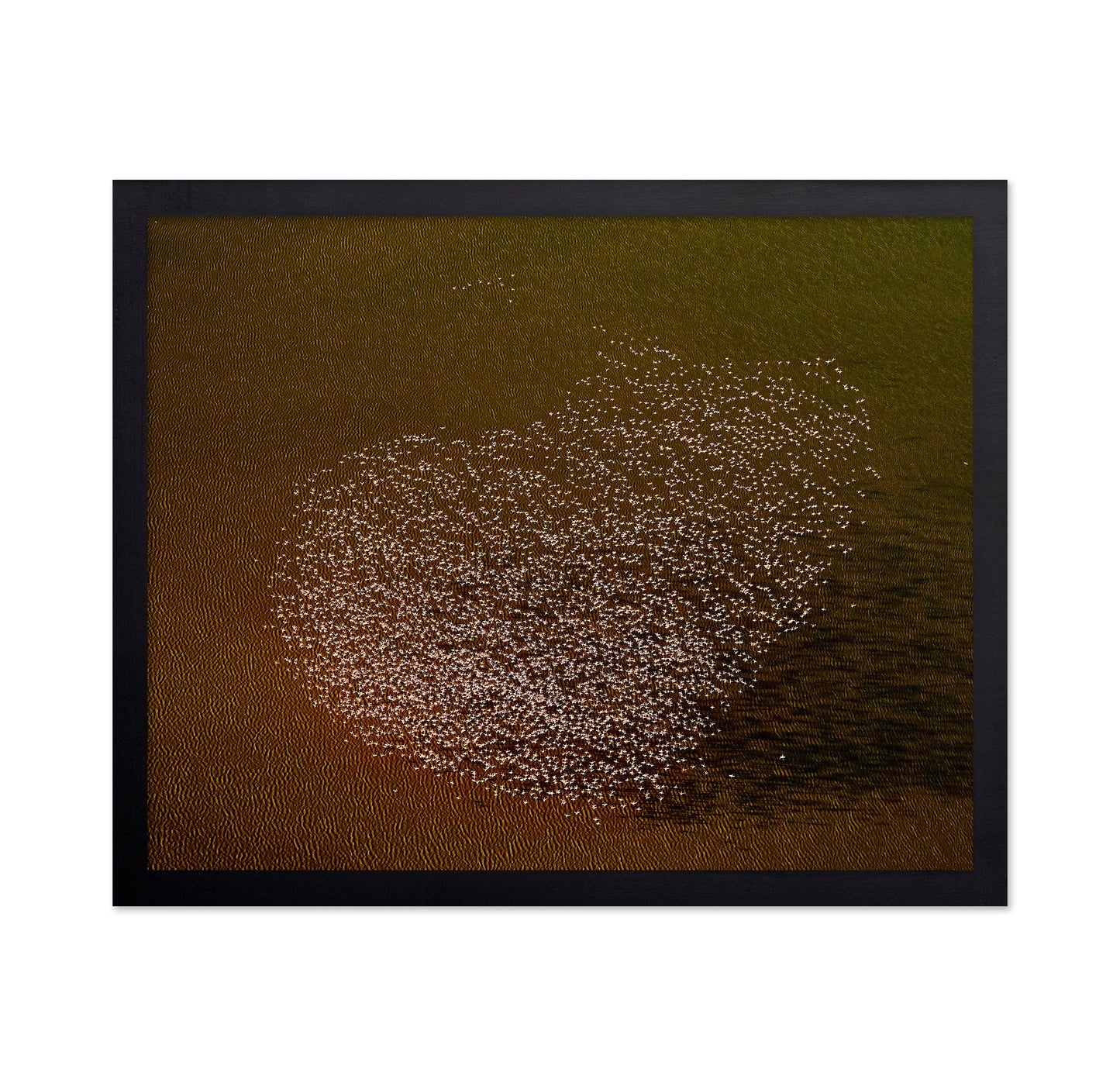 Flamingo Heart No2