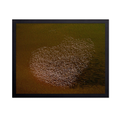 Flamingo Heart No2