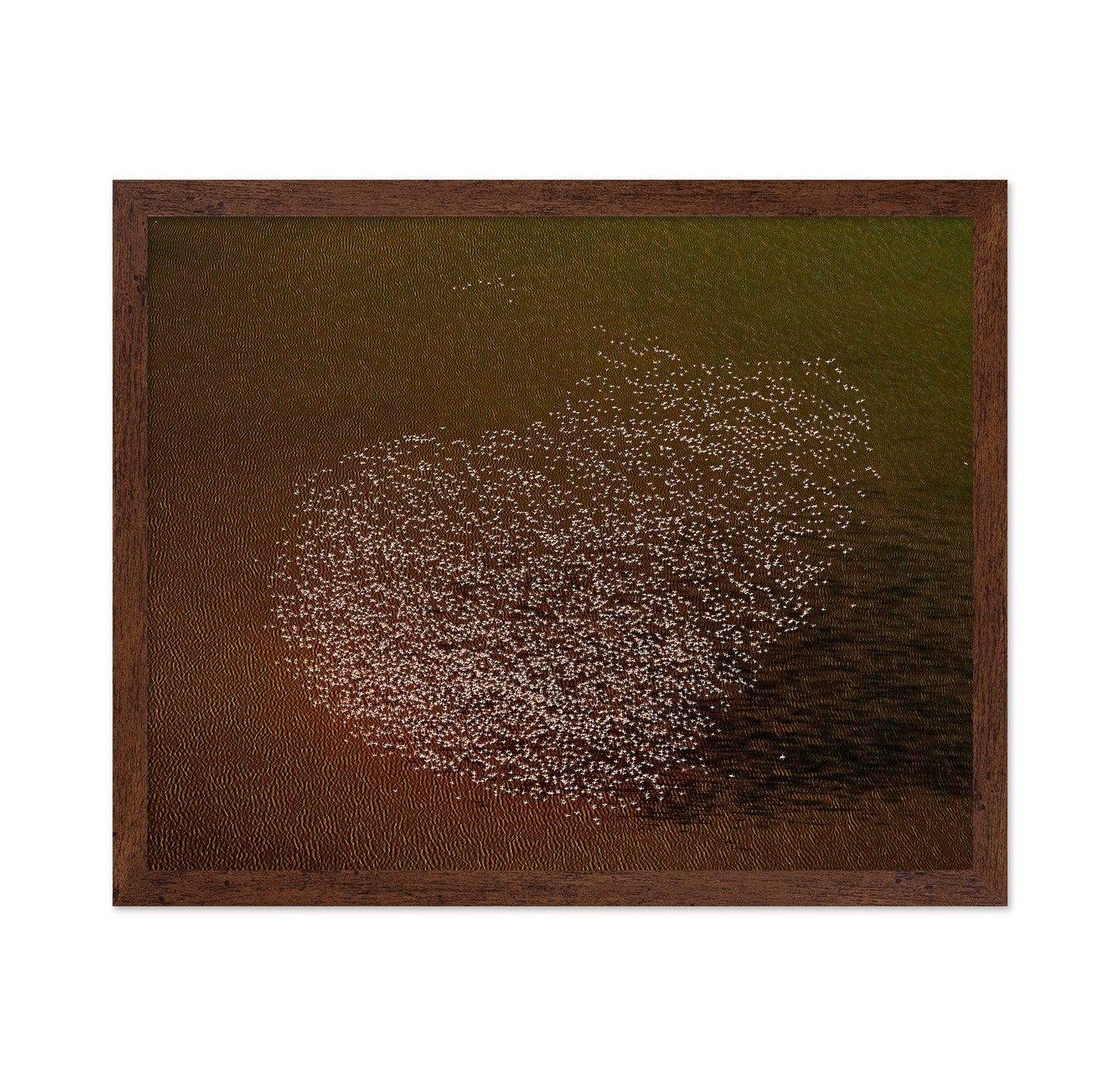 Flamingo Heart No2