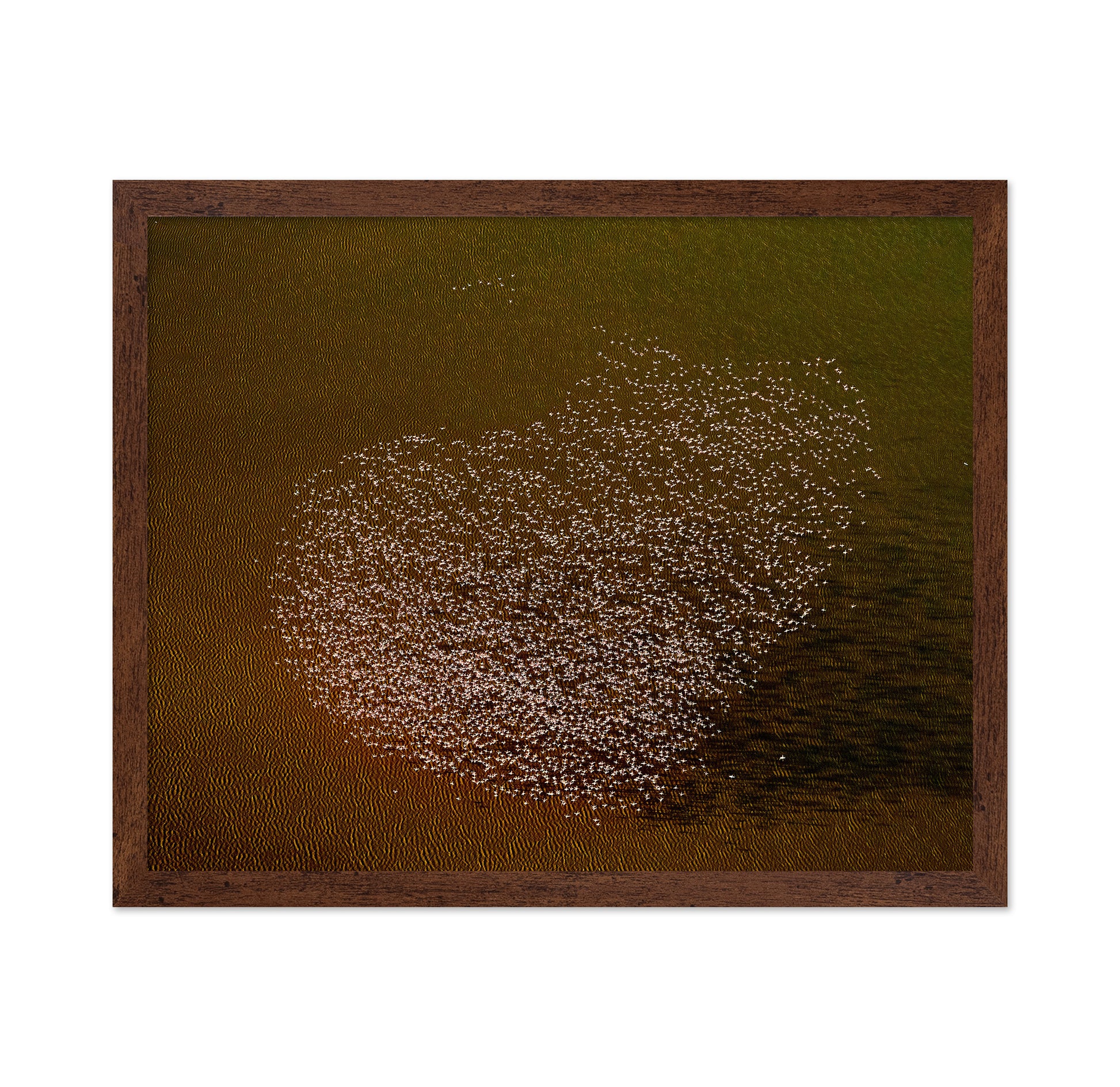 Flamingo Heart No2