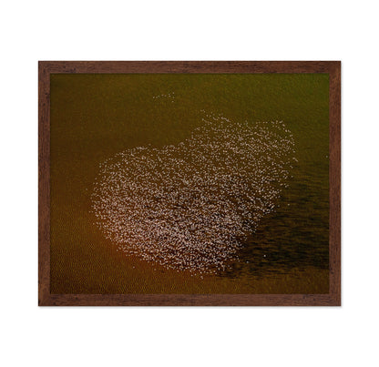 Flamingo Heart No2