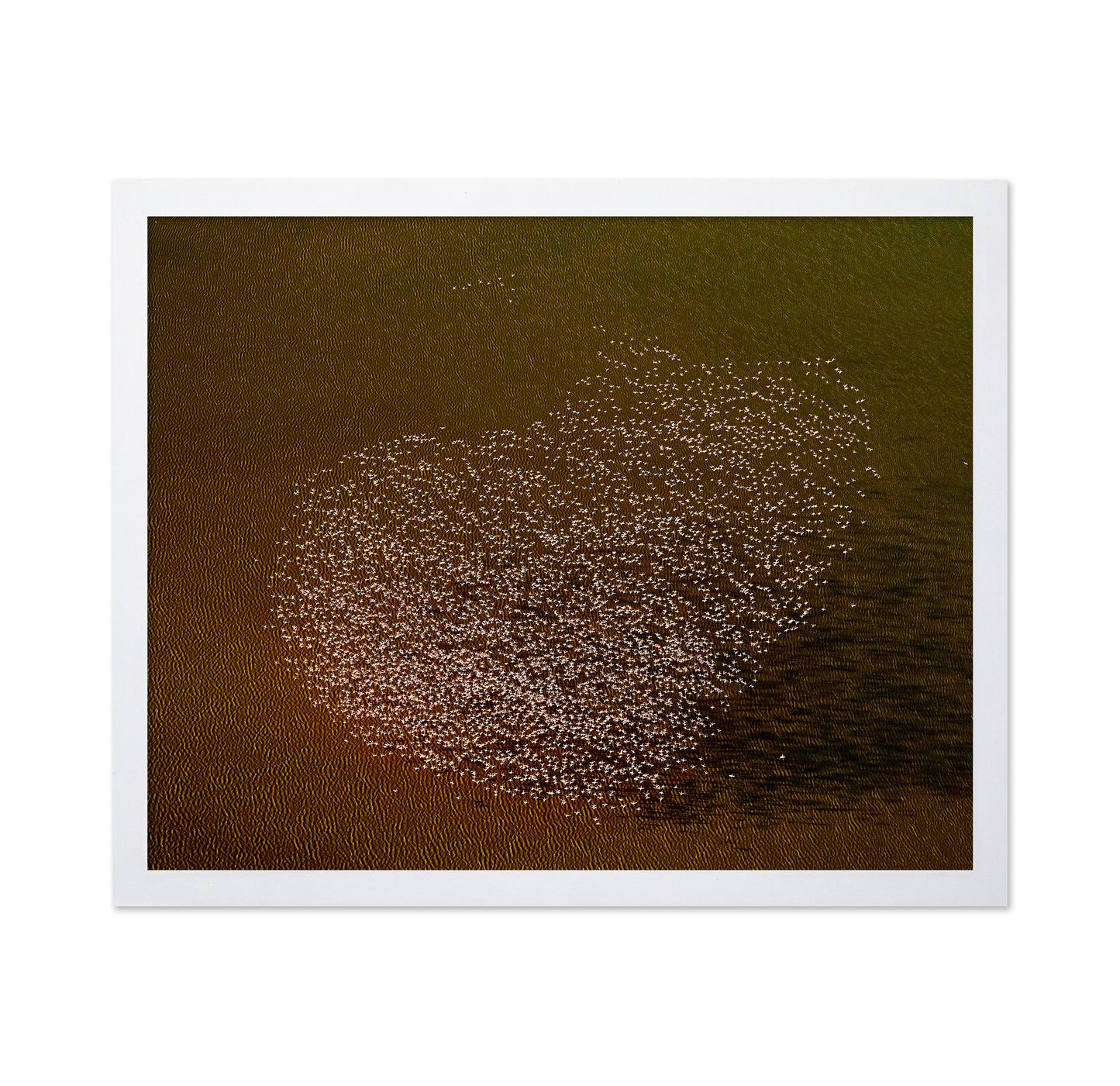 Flamingo Heart No2