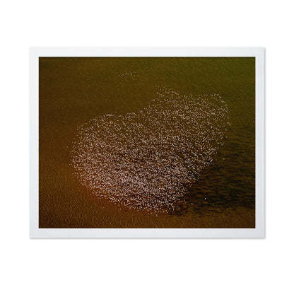 Flamingo Heart No2