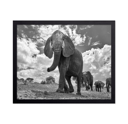 Elephant March