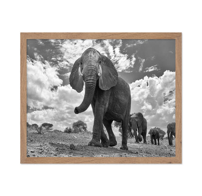 Elephant March