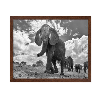 Elephant March