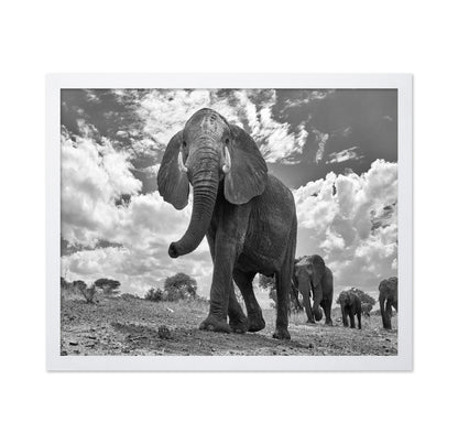 Elephant March