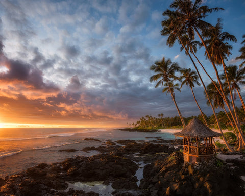 Tropical Sunset Coast
