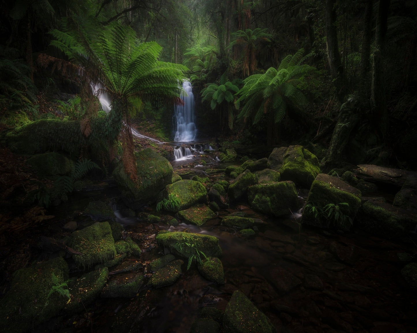 Hidden Forest Falls