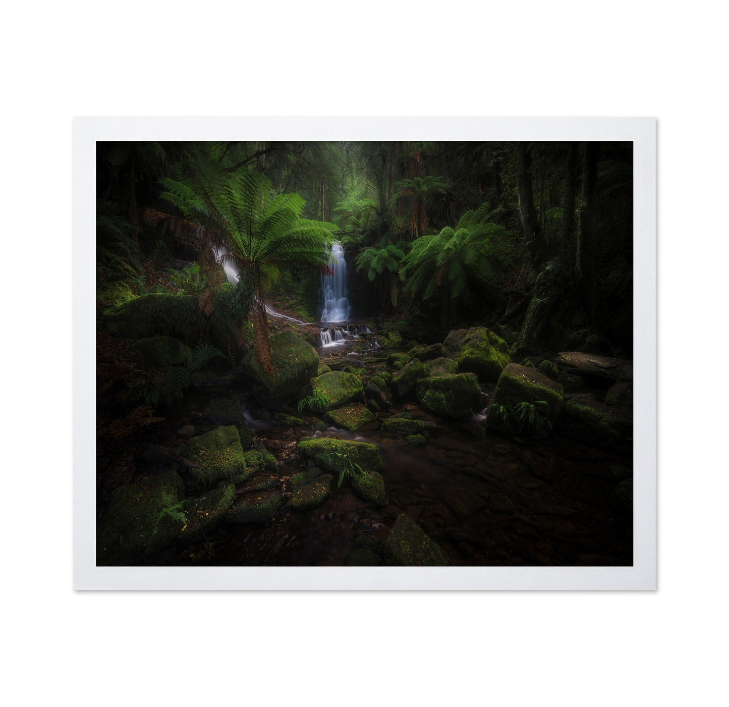 Hidden Forest Falls