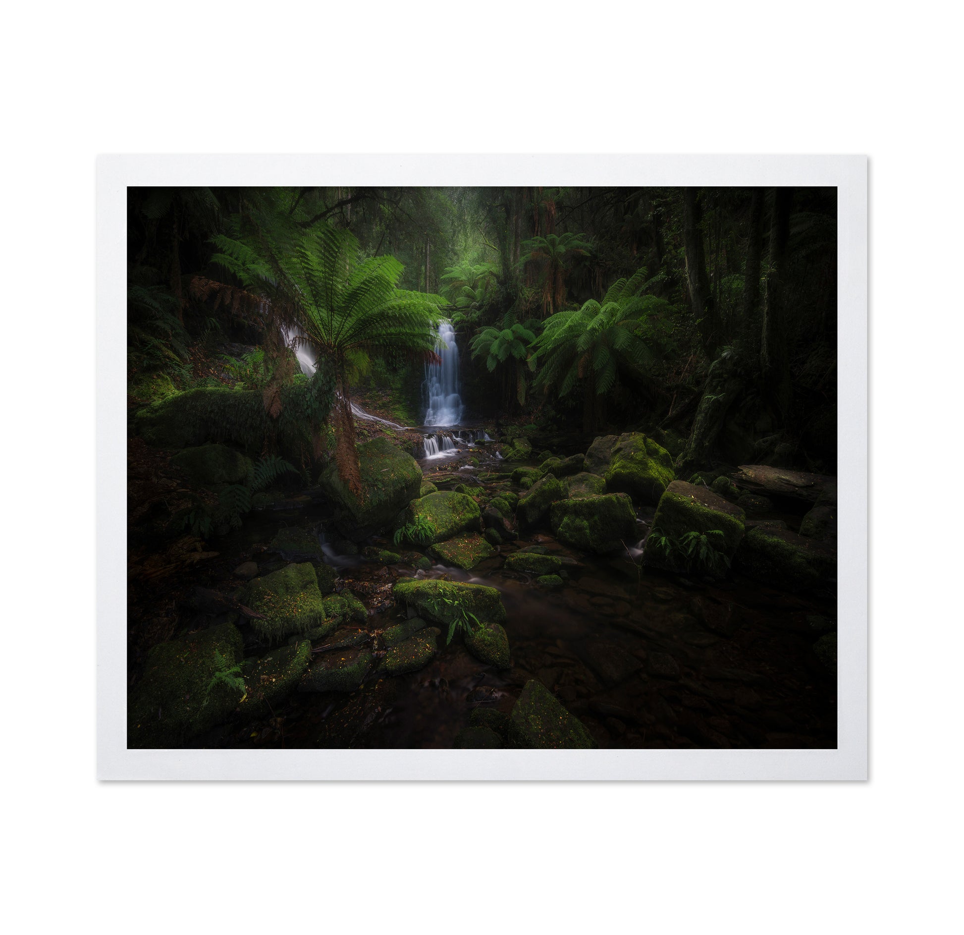 Hidden Forest Falls