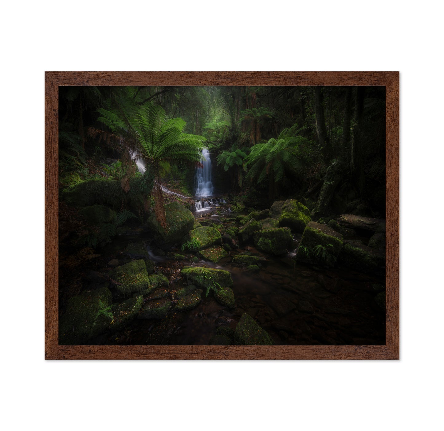 Hidden Forest Falls