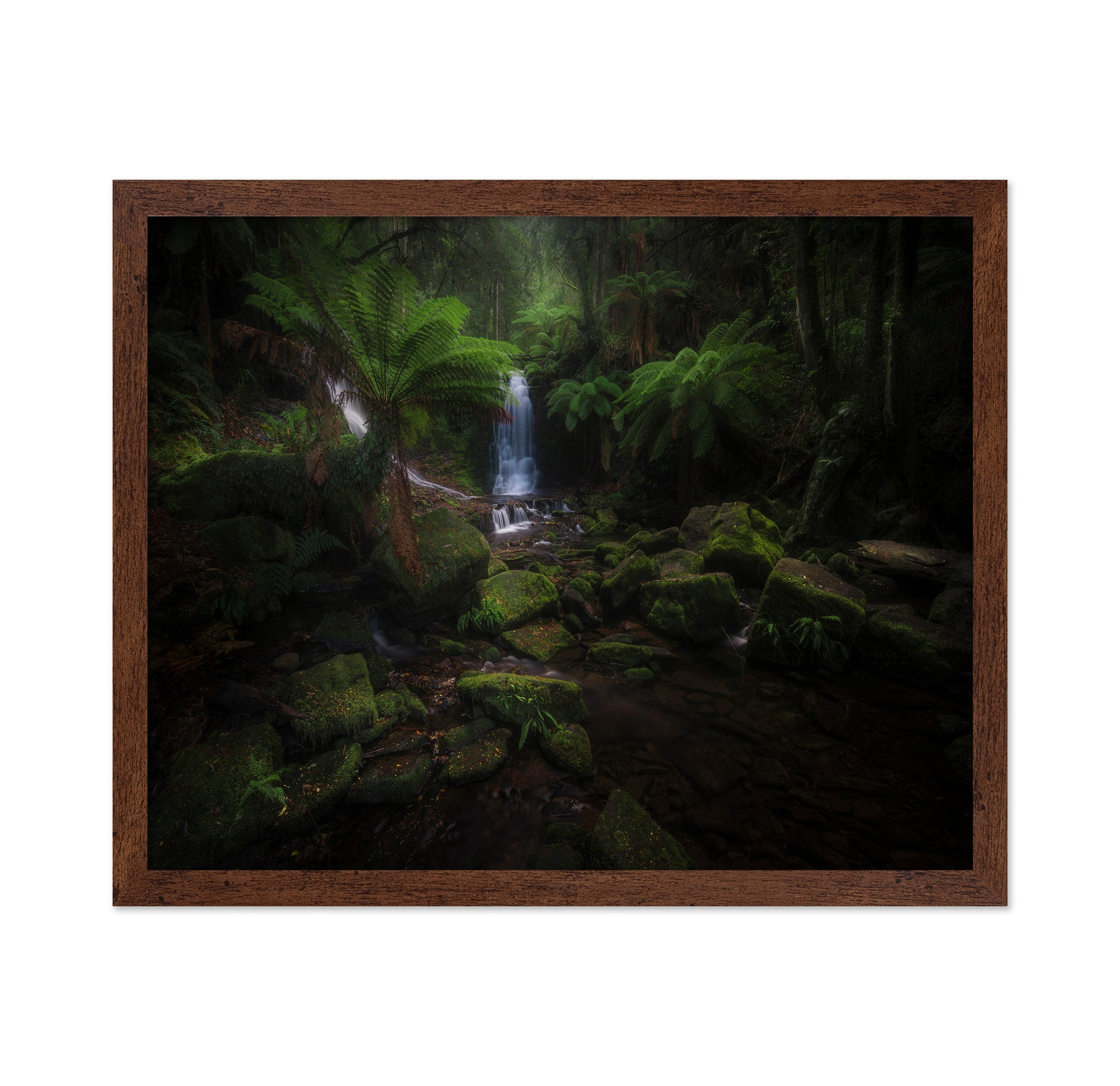 Hidden Forest Falls