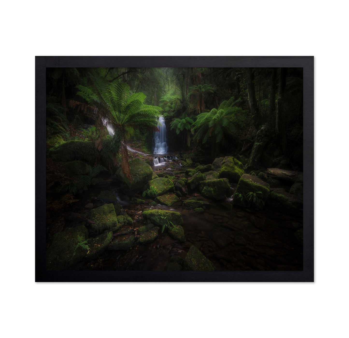 Hidden Forest Falls