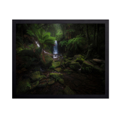 Hidden Forest Falls