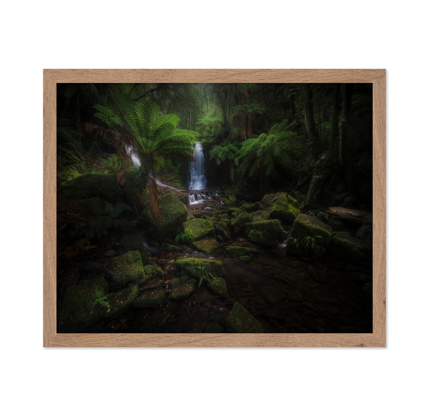 Hidden Forest Falls