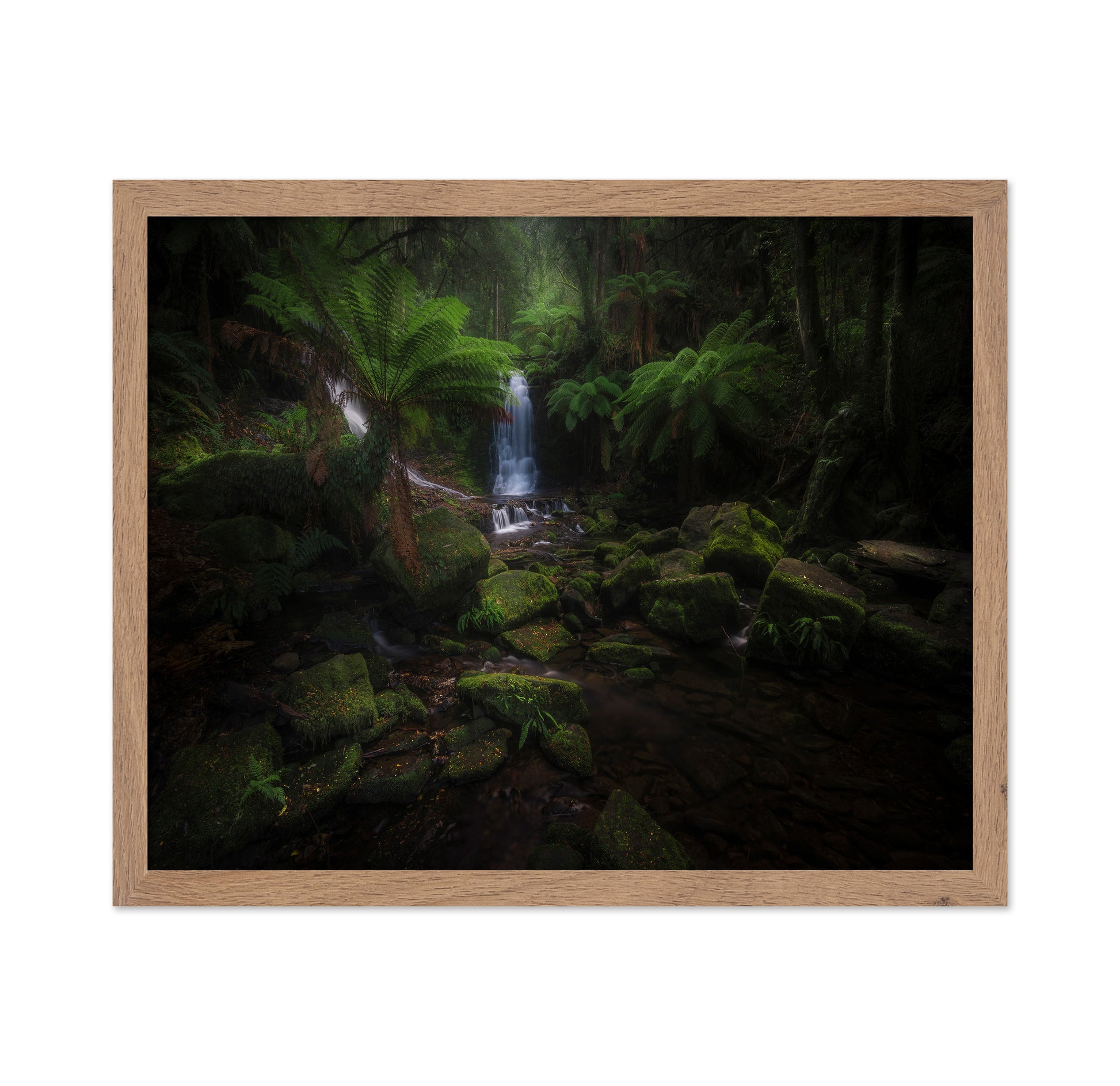 Hidden Forest Falls