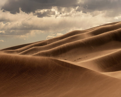 Golden Sand Dunes No2