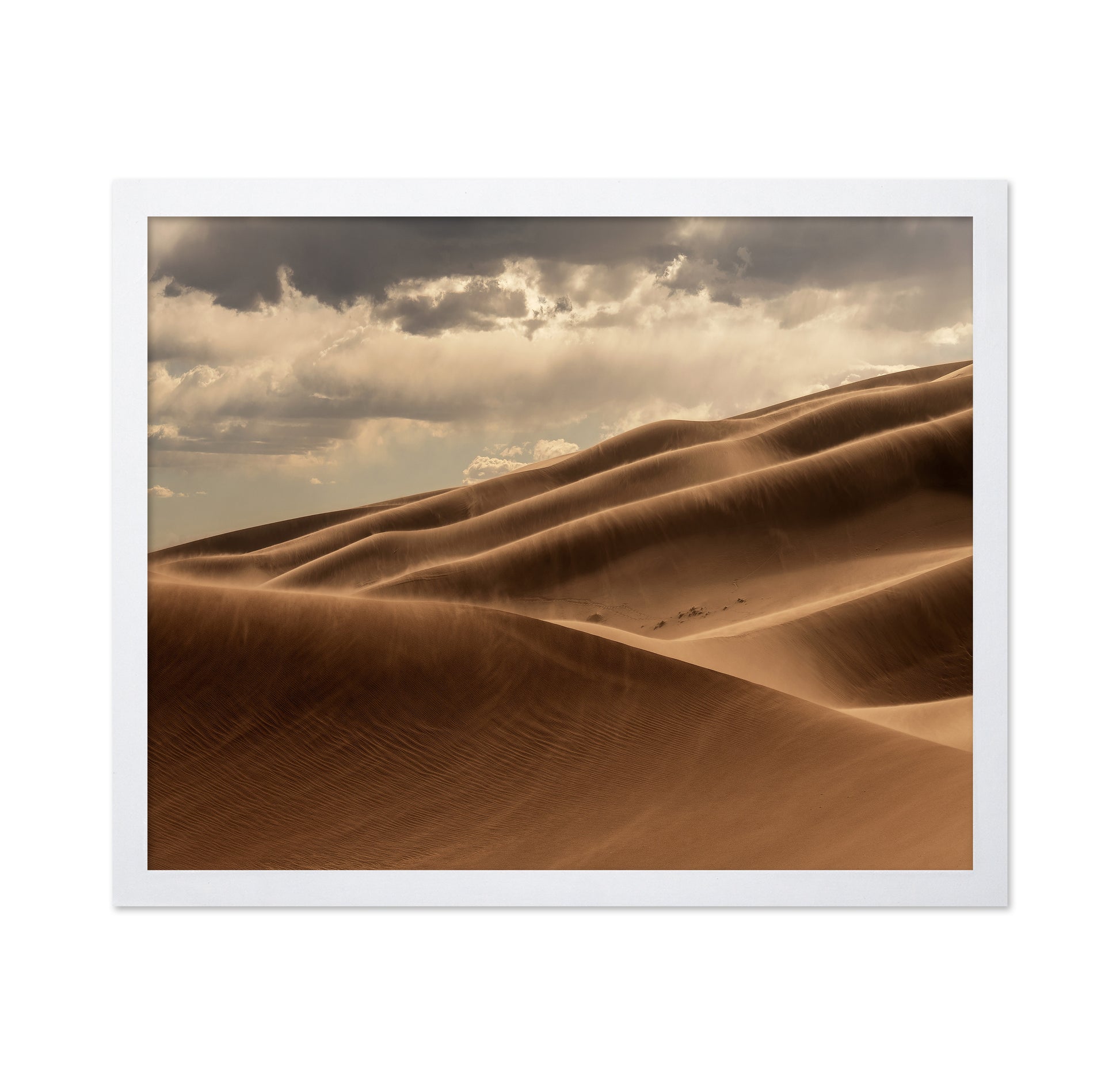 Golden Sand Dunes No2