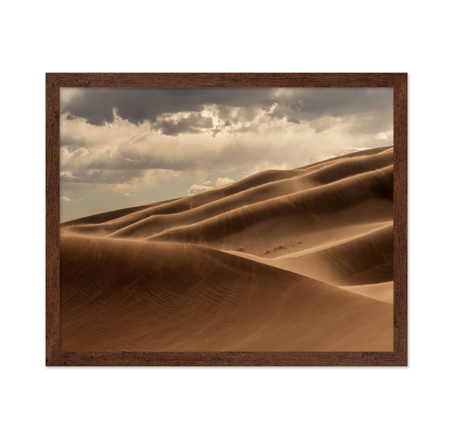 Golden Sand Dunes No2