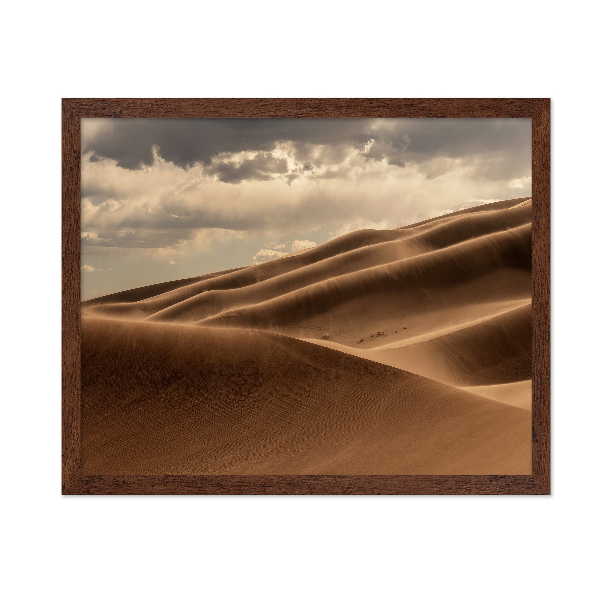 Golden Sand Dunes No2