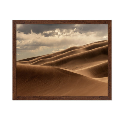 Golden Sand Dunes No2