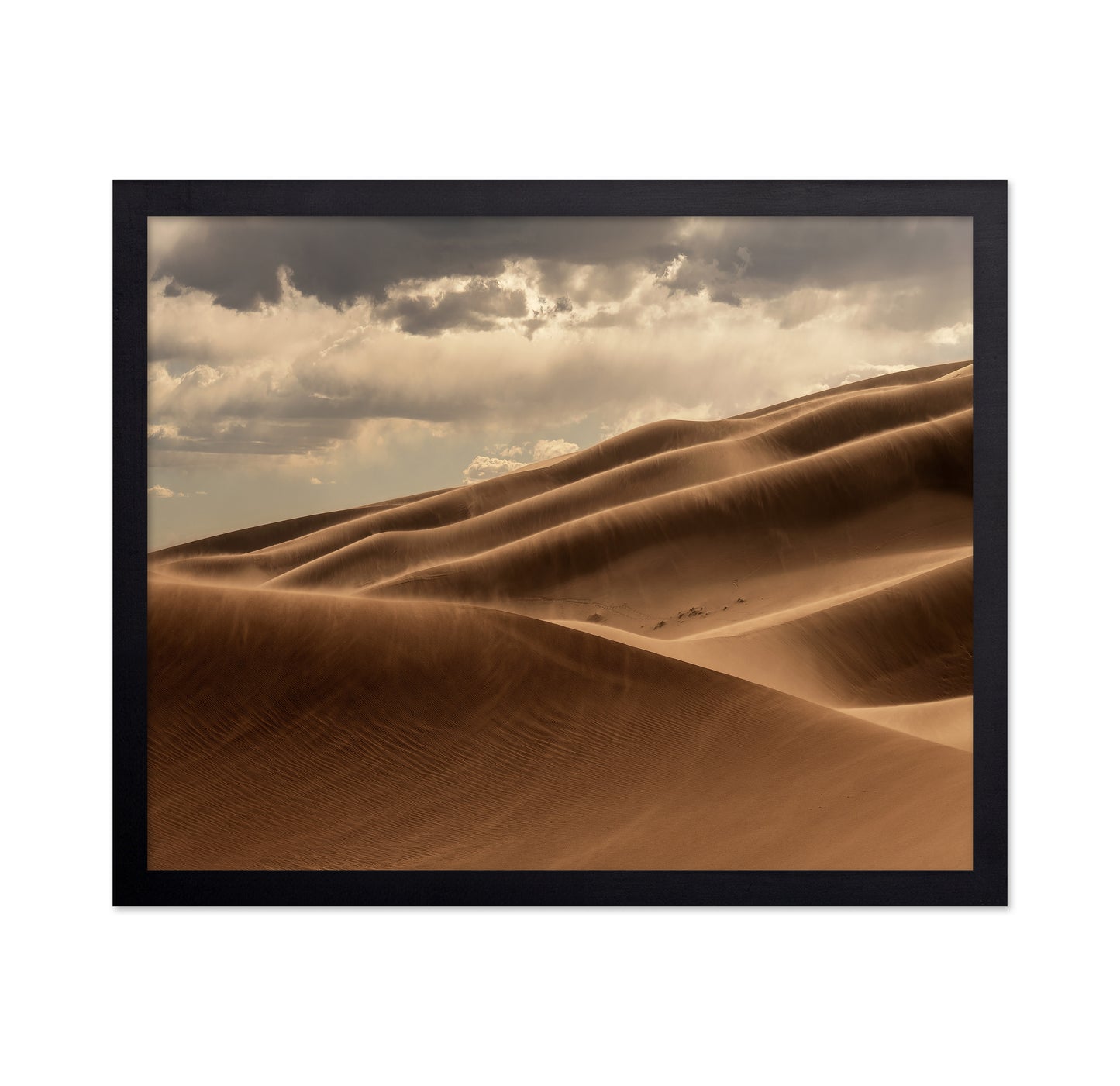 Golden Sand Dunes No2