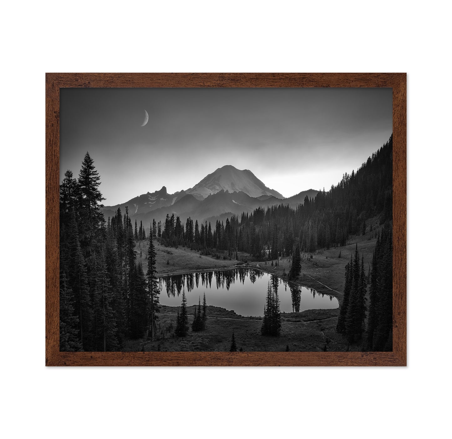 Rainier Moonlight