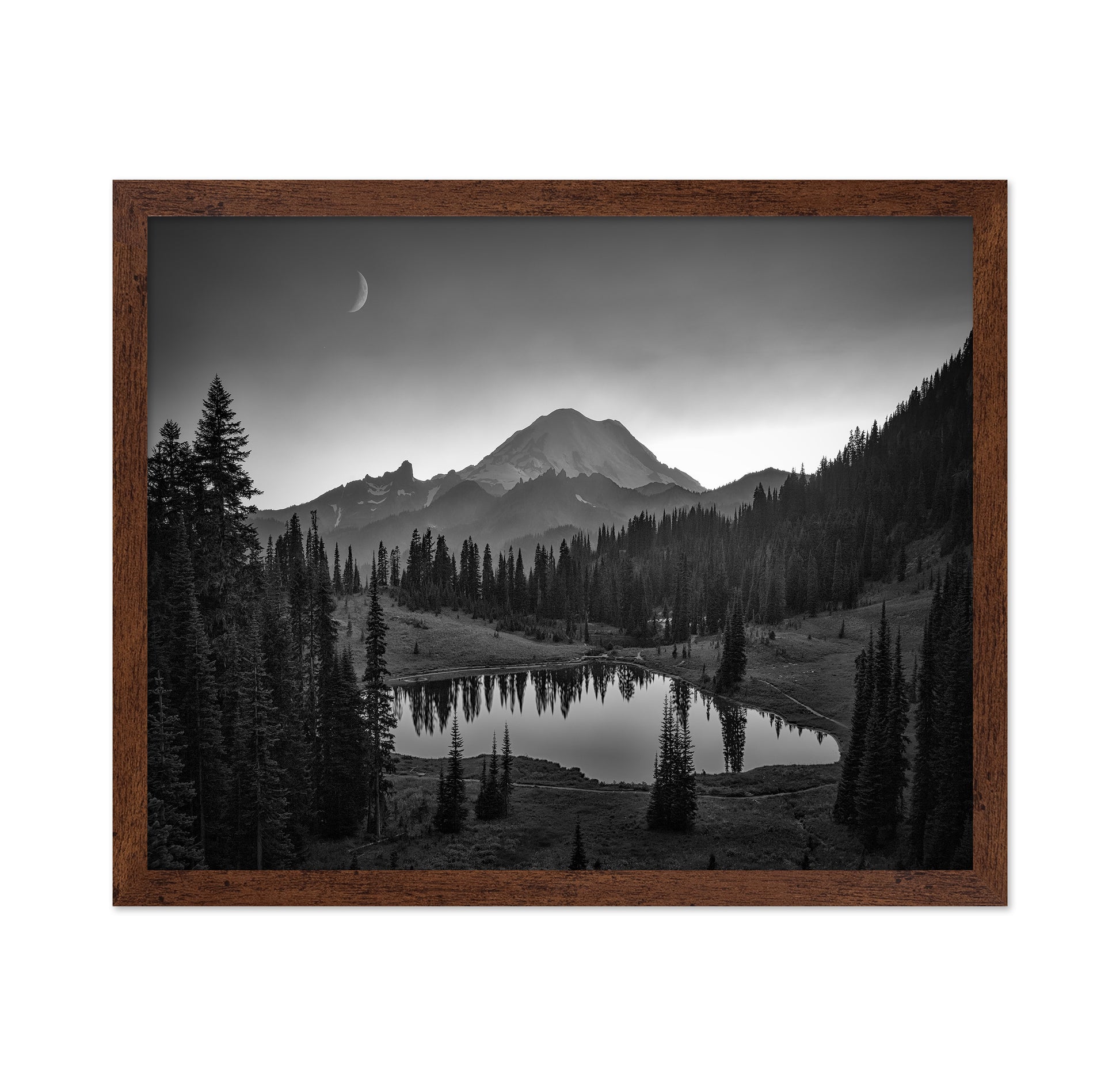 Rainier Moonlight