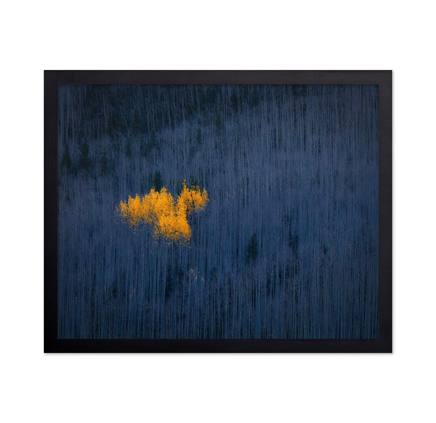 Golden Aspen Heart
