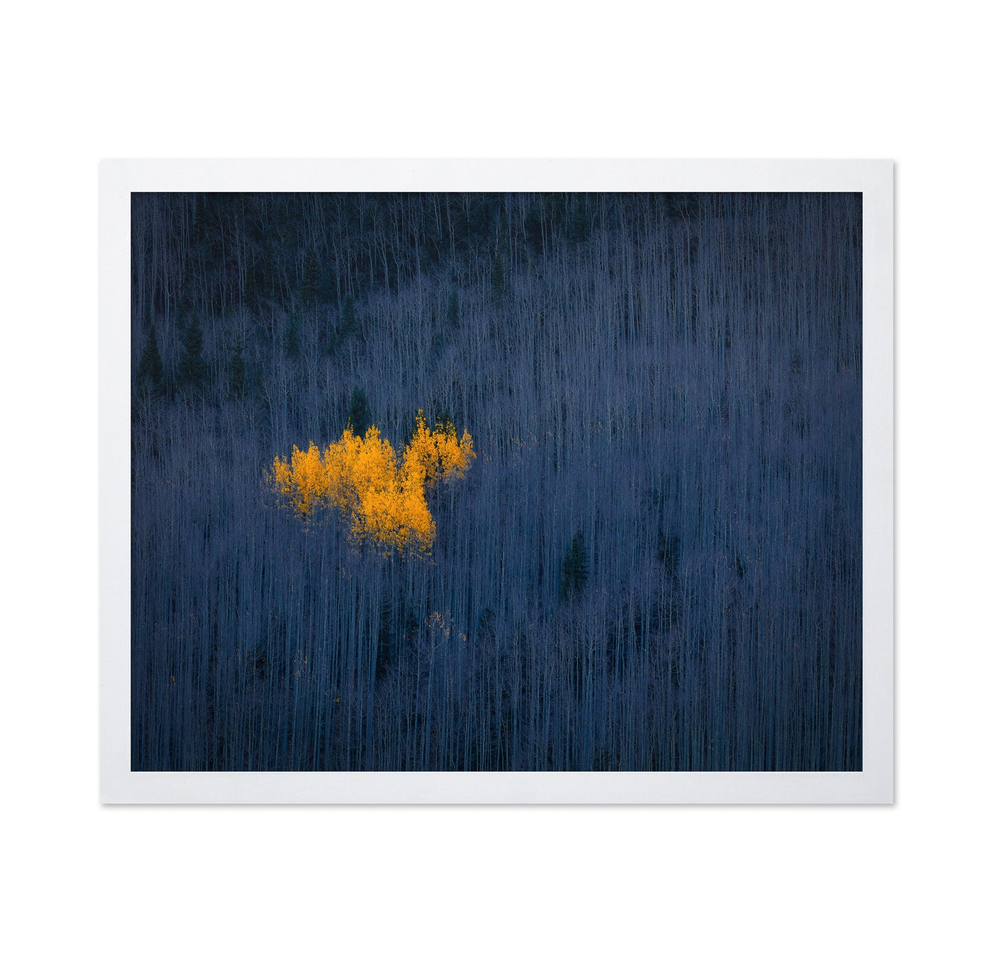 Golden Aspen Heart