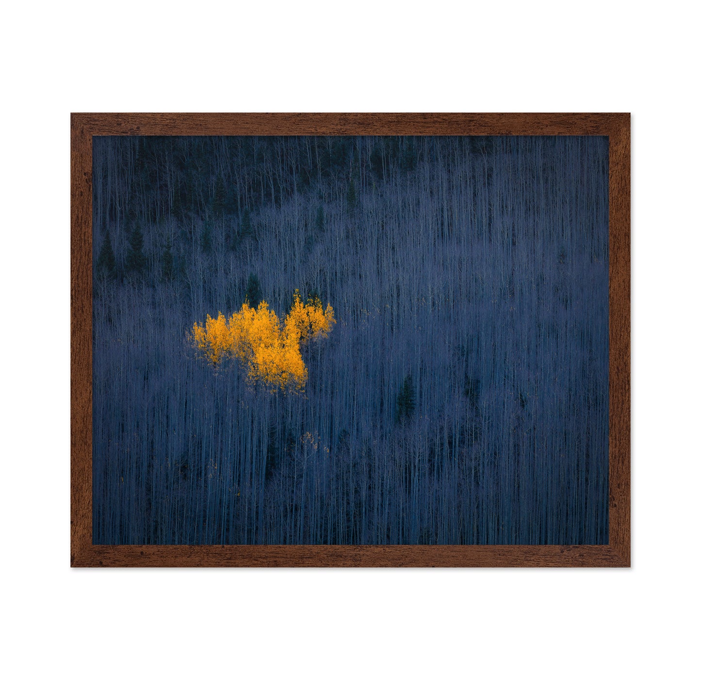 Golden Aspen Heart