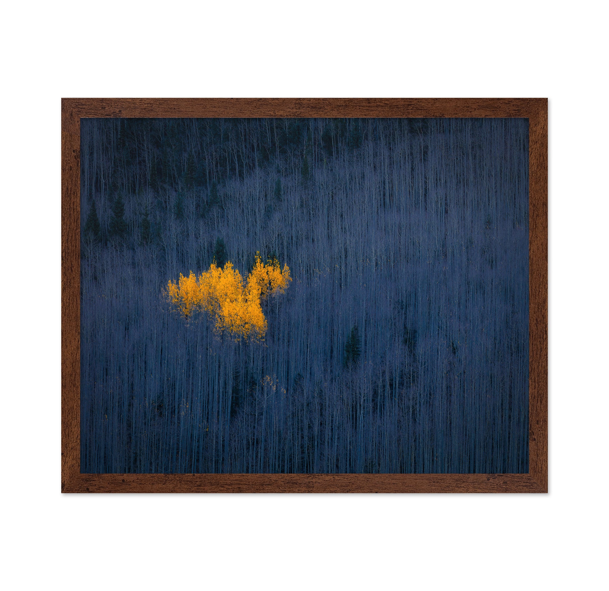 Golden Aspen Heart