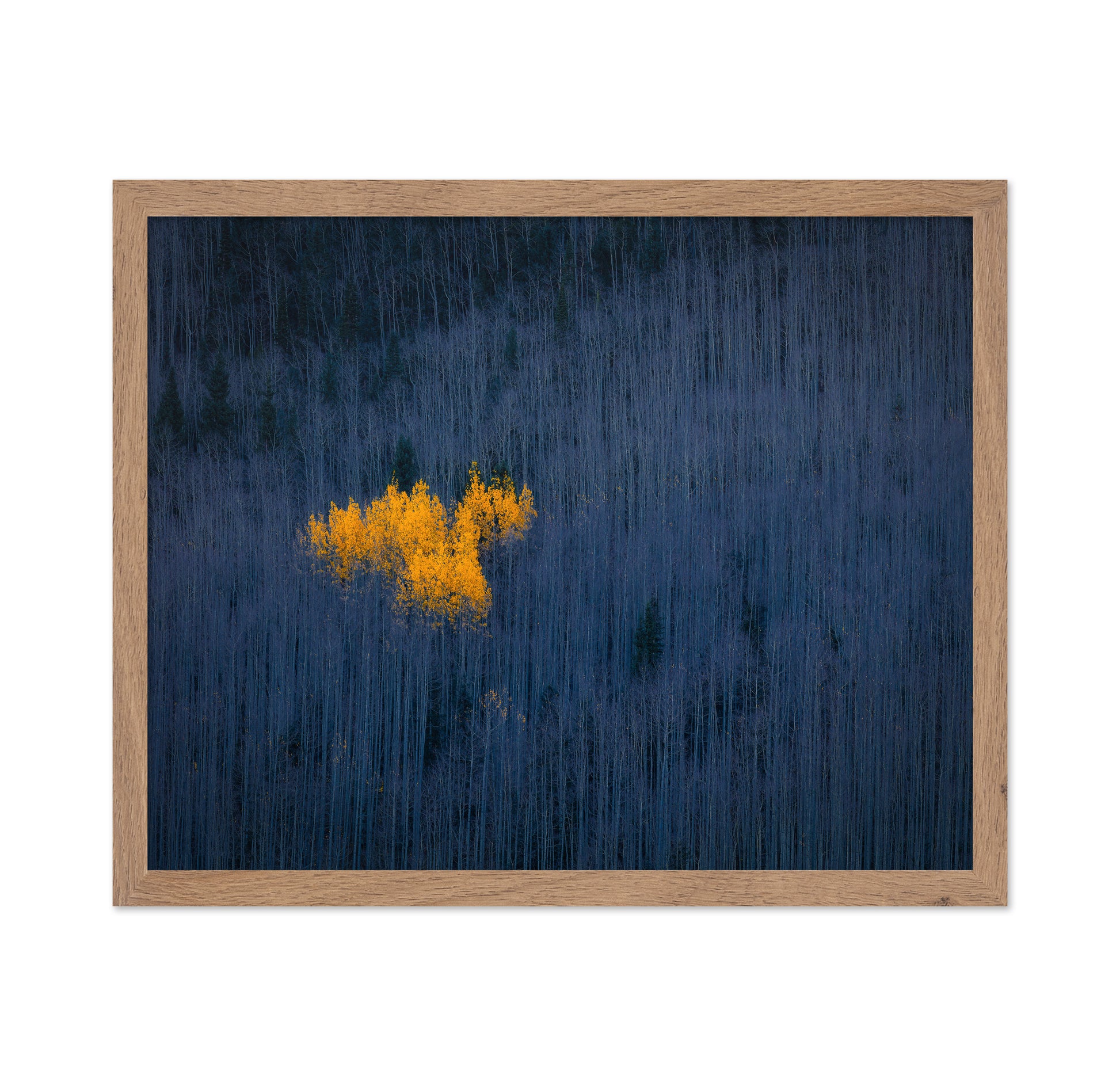 Golden Aspen Heart