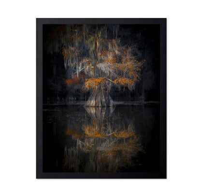 Cypress Reflection Glow