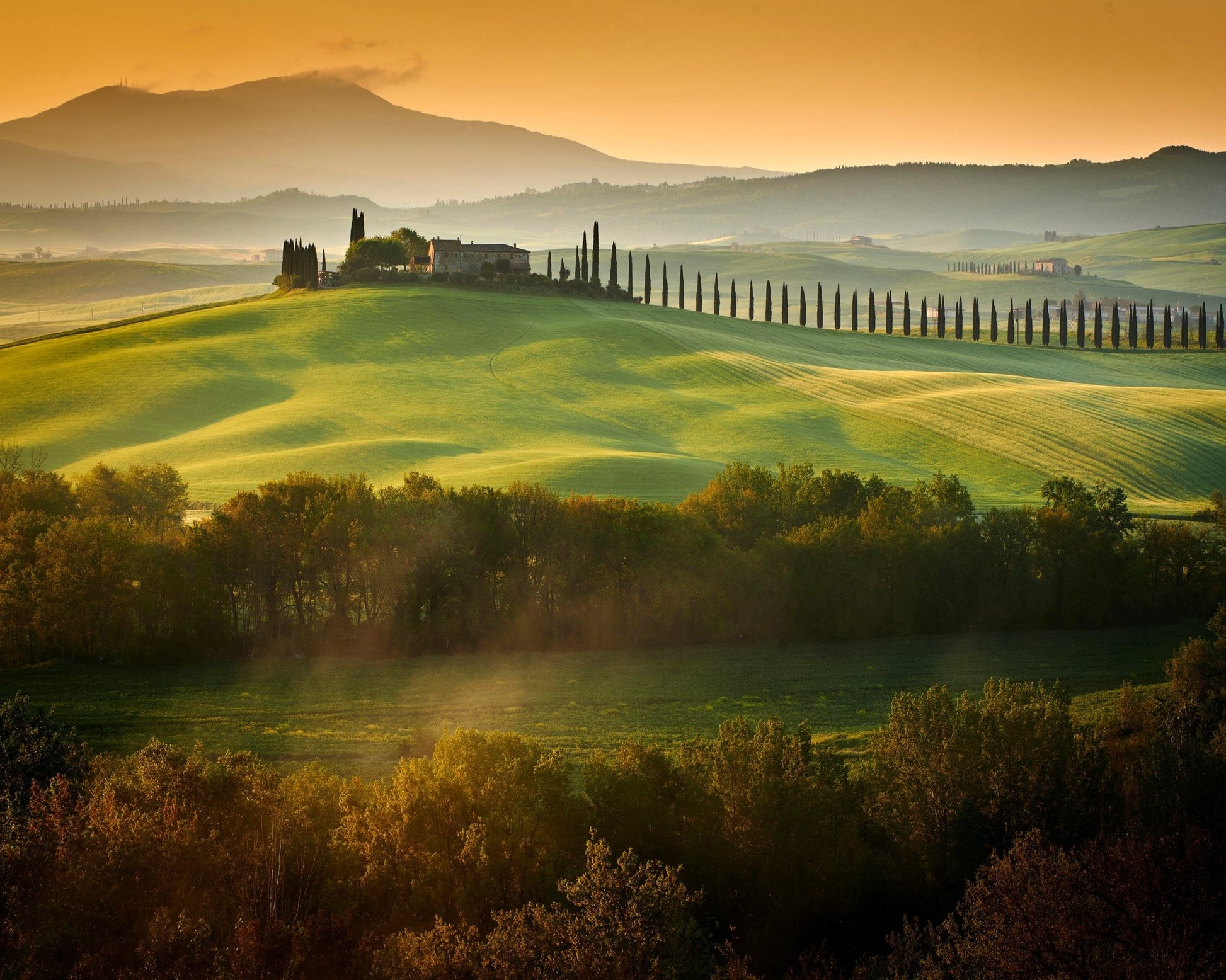 Tuscany Spring Landscape