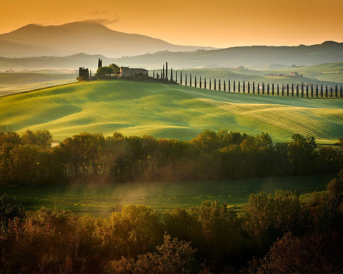 Tuscany Spring Landscape