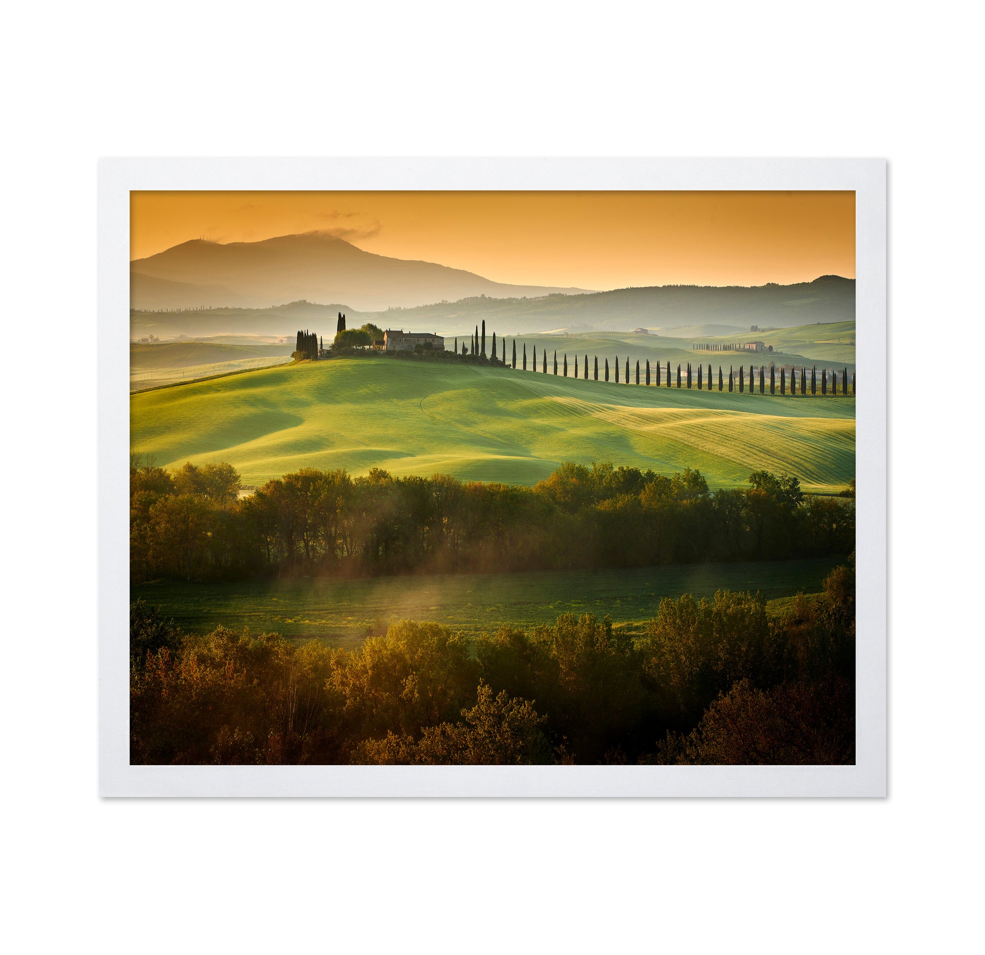 Tuscany Spring Landscape