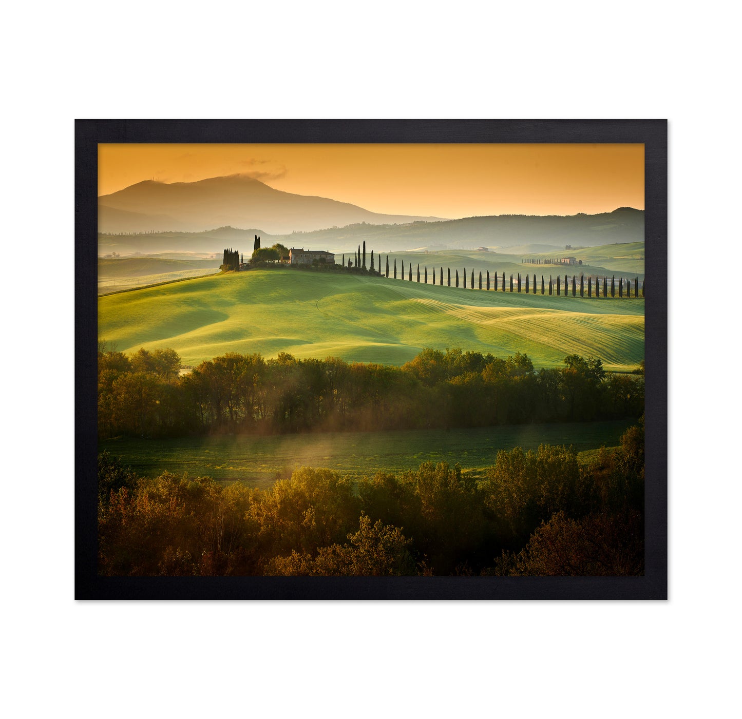 Tuscany Spring Landscape
