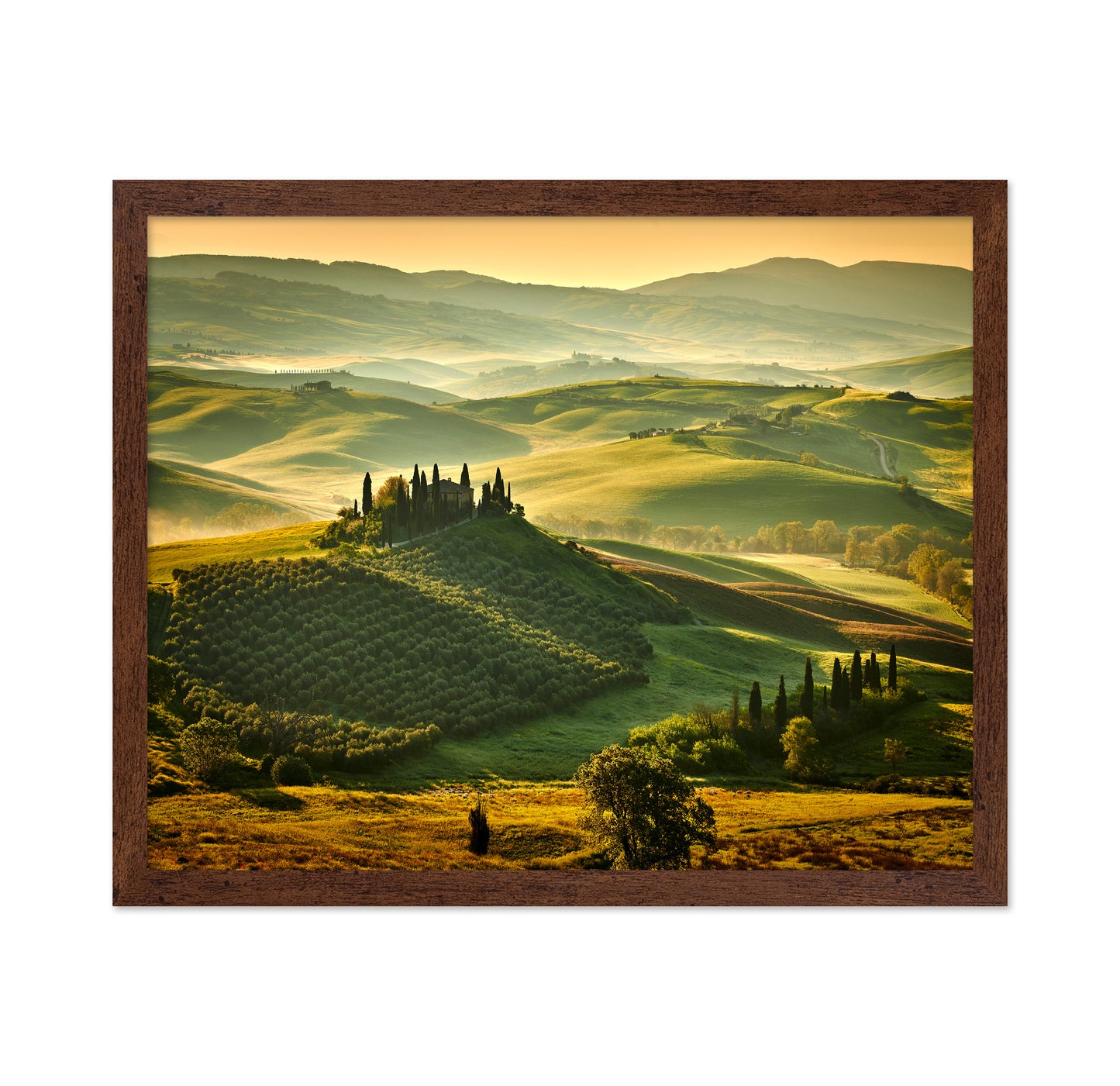 Tuscany Rolling Hills Spring