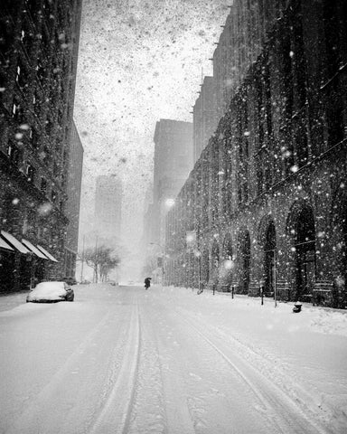 NYC Snowstorm Walker