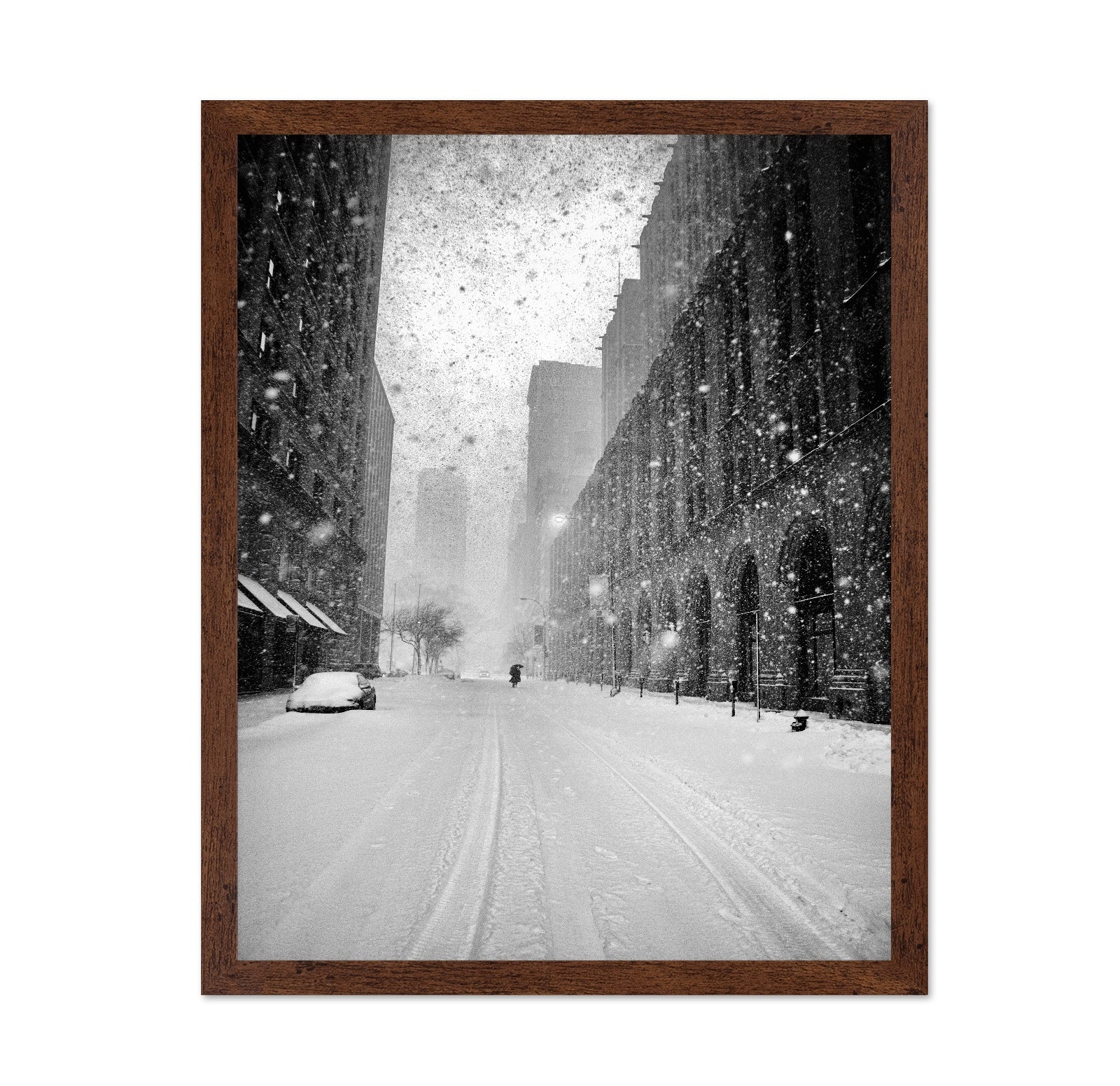 NYC Snowstorm Walker