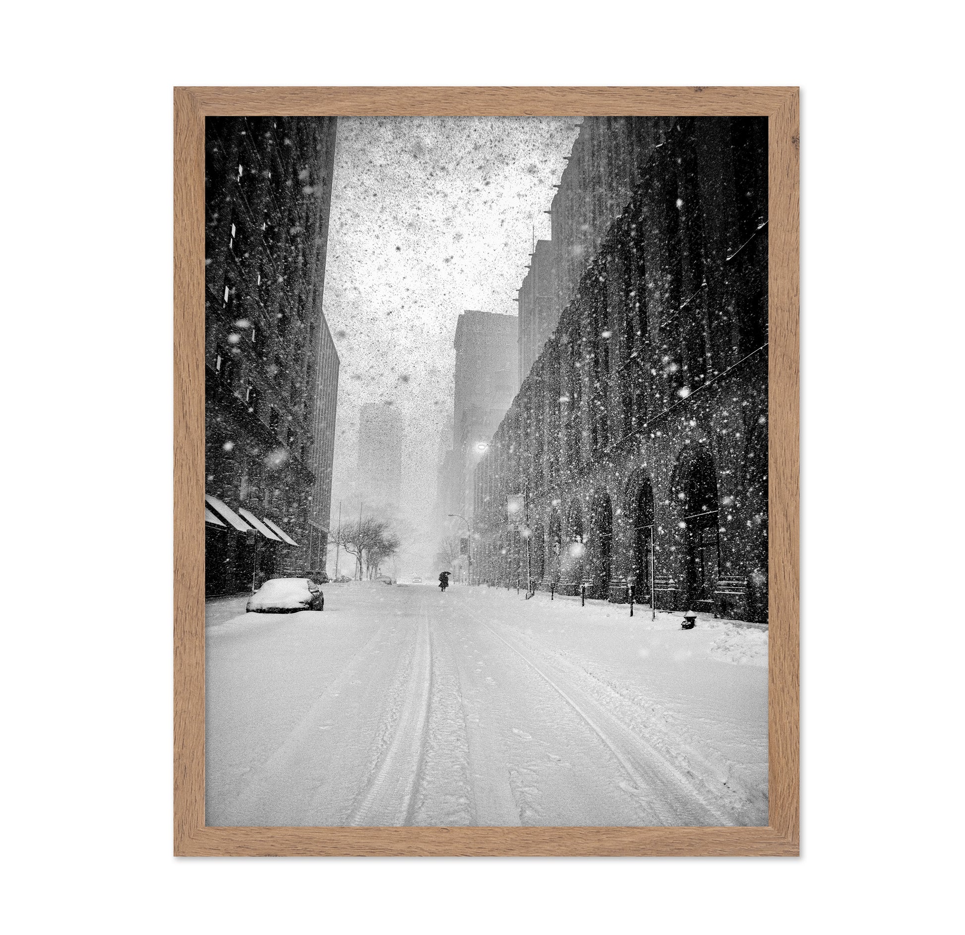 NYC Snowstorm Walker