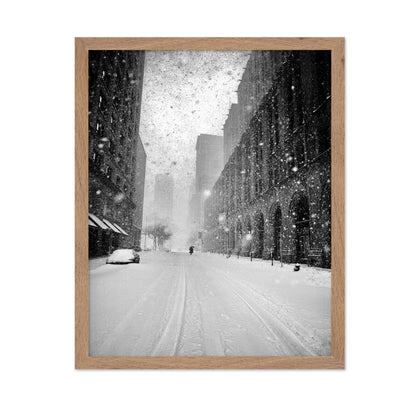 NYC Snowstorm Walker