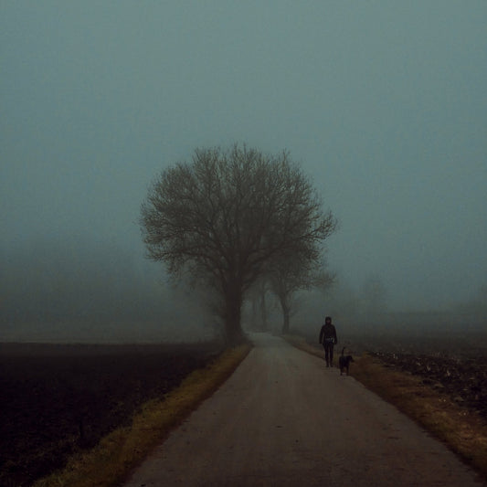 Foggy Morning Walk