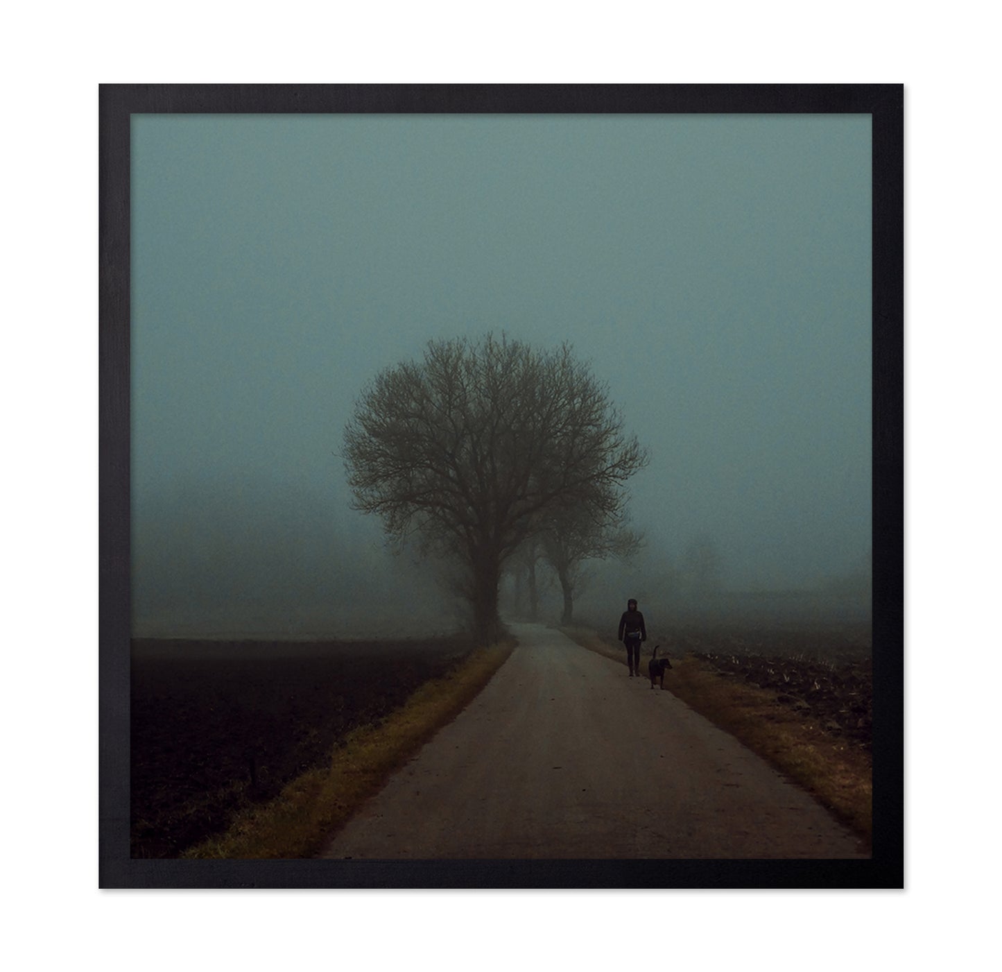 Foggy Morning Walk